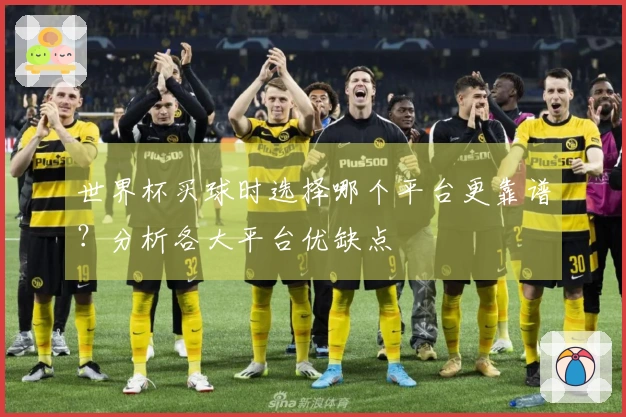 世界杯买球时选择哪个平台更靠谱？分析各大平台优缺点