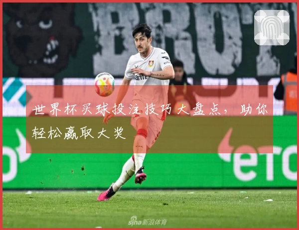世界杯买球投注技巧大盘点，助你轻松赢取大奖