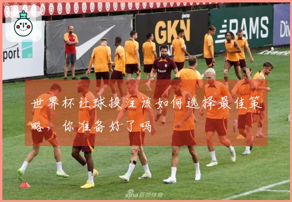 世界杯让球投注该如何选择最佳策略，你准备好了吗
