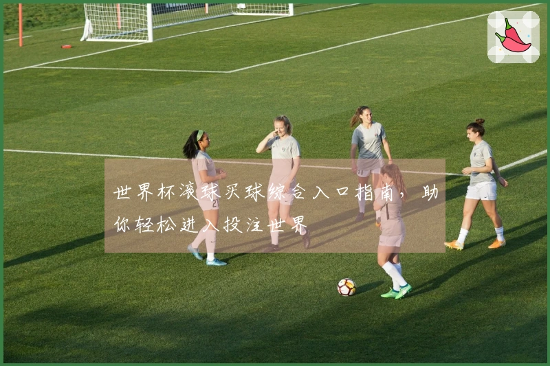 世界杯滚球买球综合入口指南，助你轻松进入投注世界