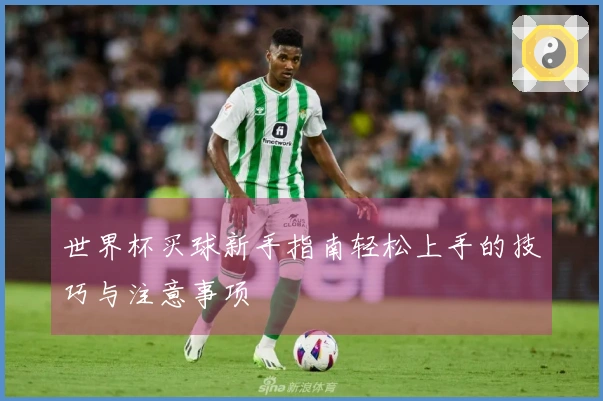世界杯买球新手指南轻松上手的技巧与注意事项