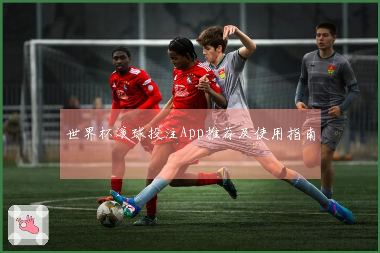 世界杯滚球投注App推荐及使用指南
