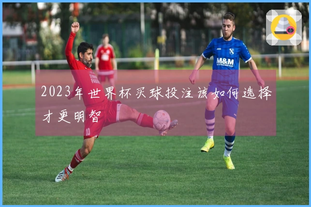 2023年世界杯买球投注该如何选择才更明智
