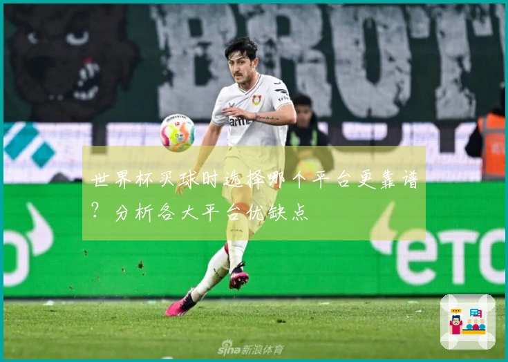世界杯买球时选择哪个平台更靠谱？分析各大平台优缺点
