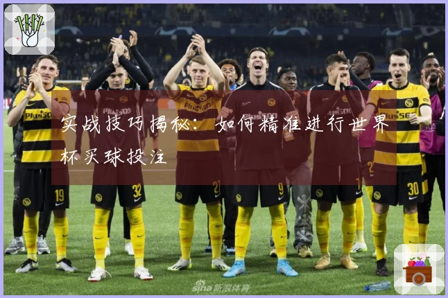 实战技巧揭秘：如何精准进行世界杯买球投注