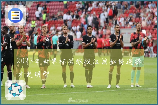 2023年世界杯买球投注该如何选择才更明智