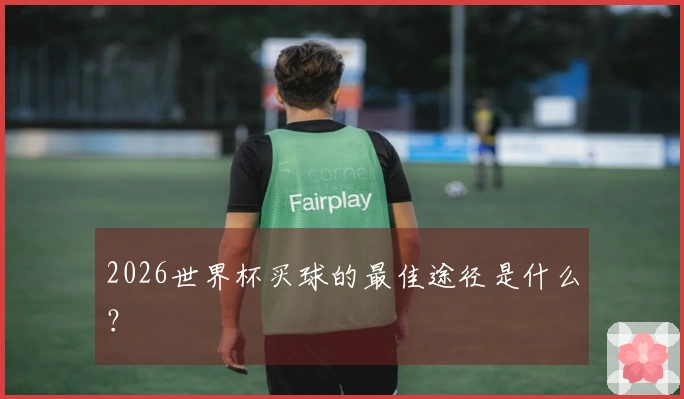 2026世界杯买球的最佳途径是什么？