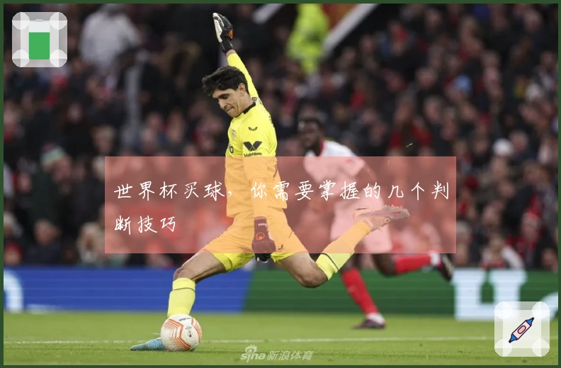 世界杯买球，你需要掌握的几个判断技巧