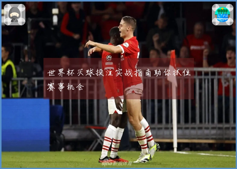 世界杯买球投注实战指南助你抓住赛事机会