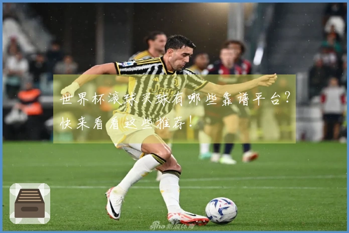 世界杯滚球买球有哪些靠谱平台？快来看看这些推荐！