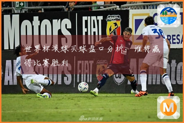 世界杯滚球买球盘口分析，谁将赢得比赛胜利