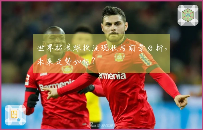 世界杯滚球投注现状与前景分析，未来走势如何？