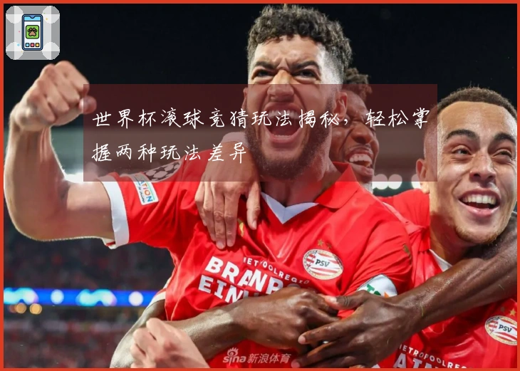 世界杯滚球竞猜玩法揭秘，轻松掌握两种玩法差异