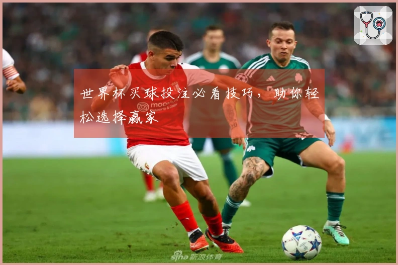 世界杯买球投注必看技巧，助你轻松选择赢家
