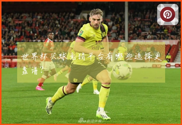 世界杯买球竞猜平台有哪些选择更靠谱？