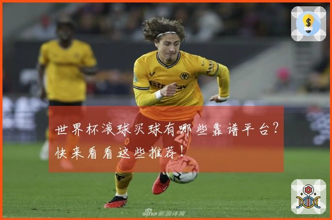 世界杯滚球买球有哪些靠谱平台？快来看看这些推荐！